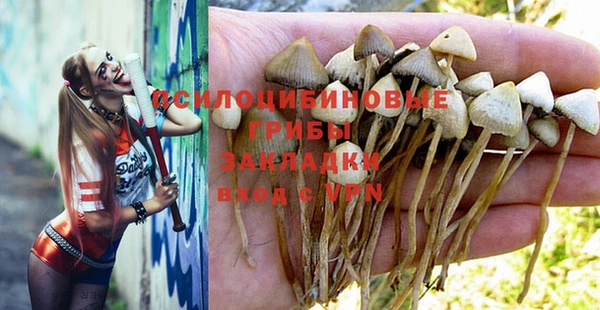 ПСИЛОЦИБИНОВЫЕ ГРИБЫ Горняк