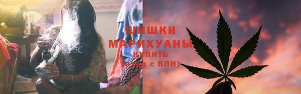 ПСИЛОЦИБИНОВЫЕ ГРИБЫ Горняк