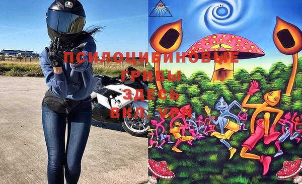 ПСИЛОЦИБИНОВЫЕ ГРИБЫ Горняк