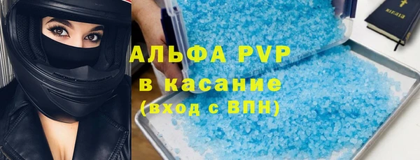 ПСИЛОЦИБИНОВЫЕ ГРИБЫ Горняк