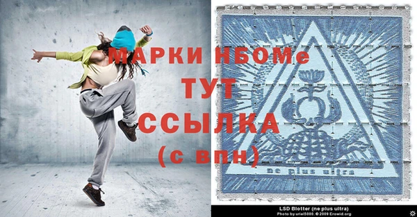 ПСИЛОЦИБИНОВЫЕ ГРИБЫ Горняк