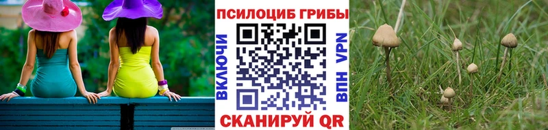 Галлюциногенные грибы мицелий  Джанкой 